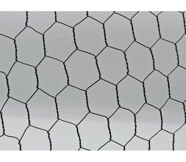 Hex Mesh